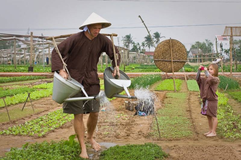 Quy trình trồng rau hữu cơ tại làng rau trà quế