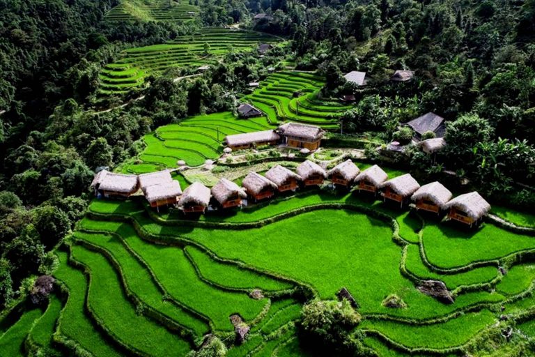 Homestay Hoàng Su Phì – Trải Nghiệm Giữa Lòng Thiên Nhiên Hà Giang